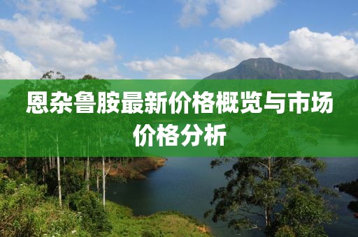 恩杂鲁胺最新价格概览与市场价格分析