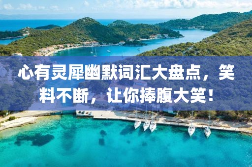 心有灵犀幽默词汇大盘点，笑料不断，让你捧腹大笑！