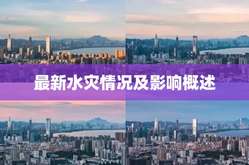 最新水灾情况及影响概述