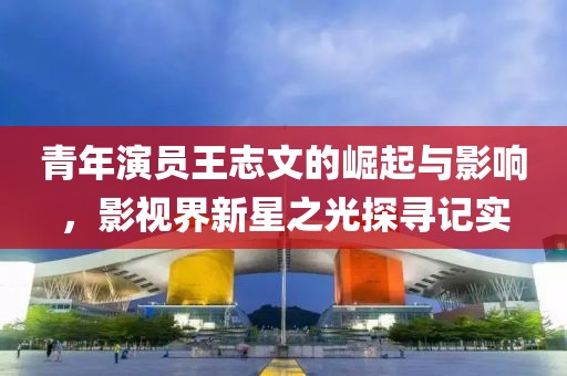 青年演员王志文的崛起与影响，影视界新星之光探寻记实