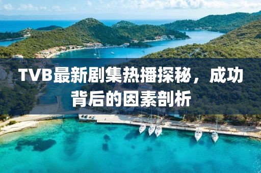 TVB最新剧集热播探秘，成功背后的因素剖析