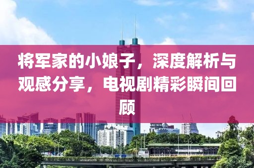 将军家的小娘子，深度解析与观感分享，电视剧精彩瞬间回顾