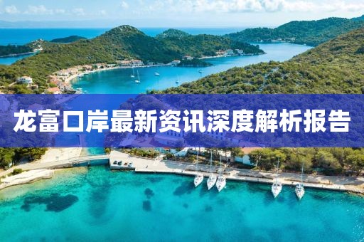 龙富口岸最新资讯深度解析报告