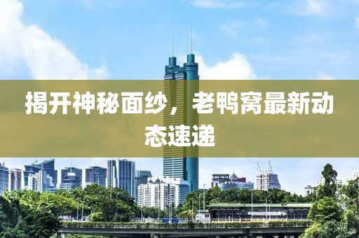 揭开神秘面纱，老鸭窝最新动态速递