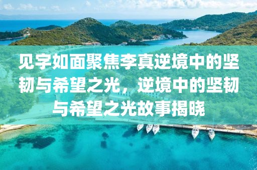 见字如面聚焦李真逆境中的坚韧与希望之光，逆境中的坚韧与希望之光故事揭晓