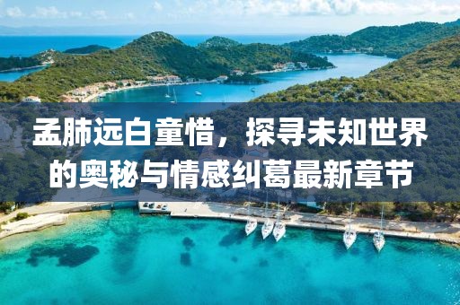 孟肺远白童惜，探寻未知世界的奥秘与情感纠葛最新章节