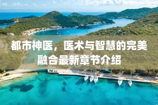 都市神医，医术与智慧的完美融合最新章节介绍