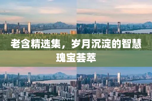 老含精选集，岁月沉淀的智慧瑰宝荟萃