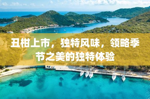 丑柑上市，独特风味，领略季节之美的独特体验