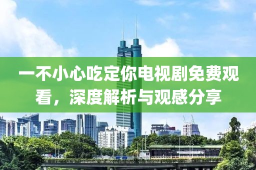 一不小心吃定你电视剧免费观看，深度解析与观感分享