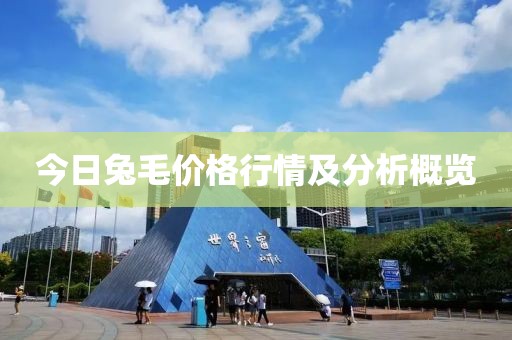 今日兔毛价格行情及分析概览