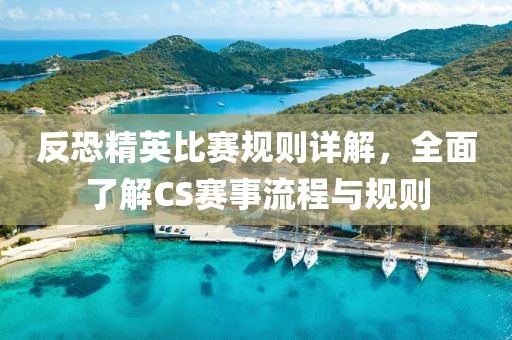 反恐精英比赛规则详解，全面了解CS赛事流程与规则