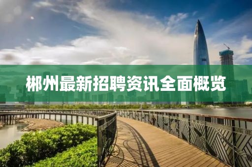 郴州最新招聘资讯全面概览