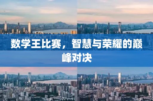 数学王比赛，智慧与荣耀的巅峰对决
