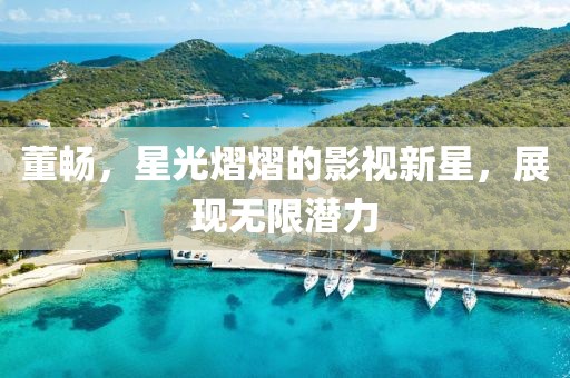 董畅，星光熠熠的影视新星，展现无限潜力