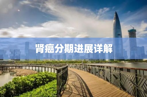 肾癌分期进展详解