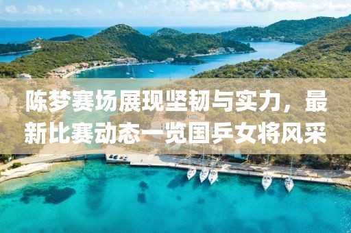 陈梦赛场展现坚韧与实力，最新比赛动态一览国乒女将风采