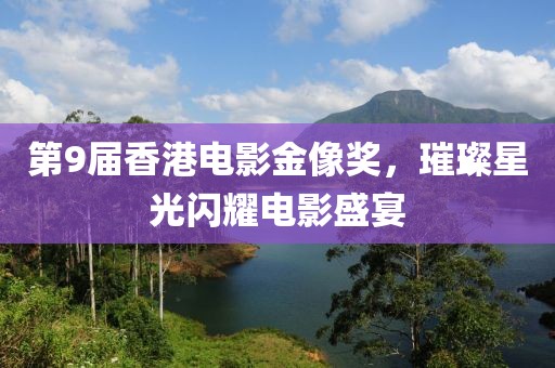 第9届香港电影金像奖，璀璨星光闪耀电影盛宴