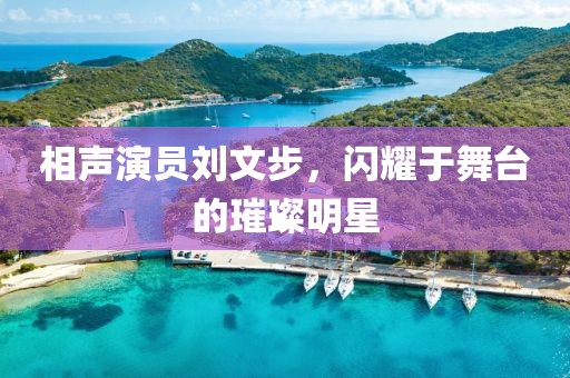 相声演员刘文步，闪耀于舞台的璀璨明星