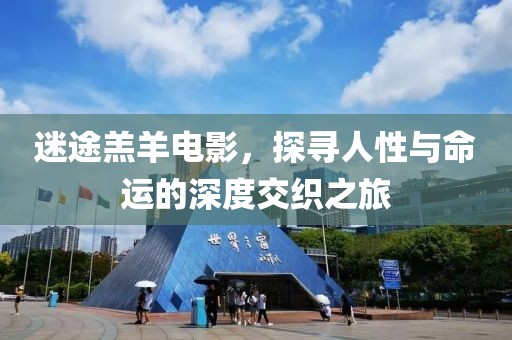 迷途羔羊电影，探寻人性与命运的深度交织之旅
