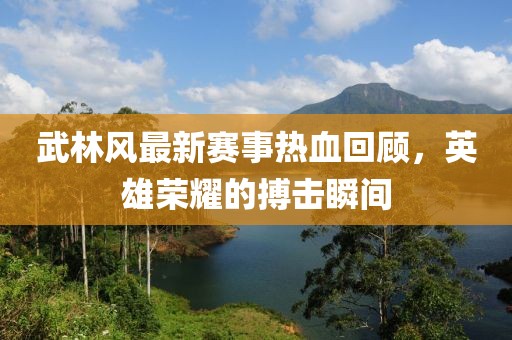武林风最新赛事热血回顾，英雄荣耀的搏击瞬间