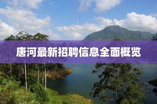 唐河最新招聘信息全面概览