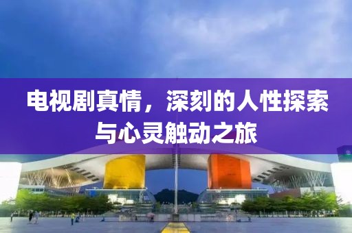 电视剧真情，深刻的人性探索与心灵触动之旅