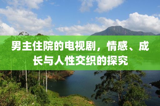 男主住院的电视剧，情感、成长与人性交织的探究