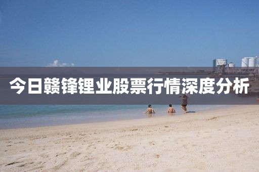 今日赣锋锂业股票行情深度分析