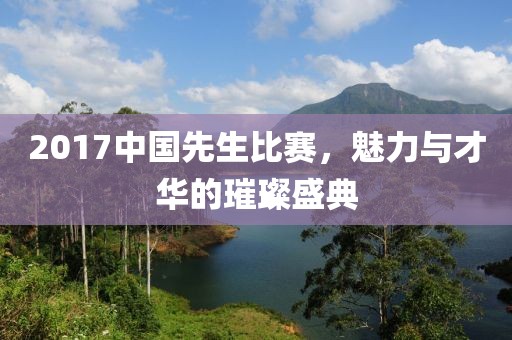 2017中国先生比赛，魅力与才华的璀璨盛典