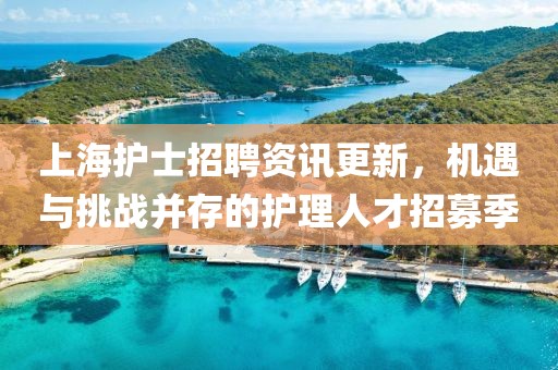 上海护士招聘资讯更新，机遇与挑战并存的护理人才招募季