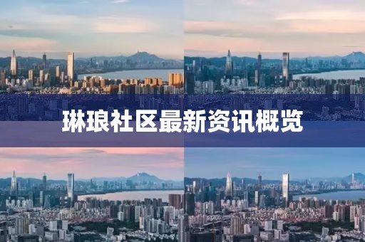 琳琅社区最新资讯概览