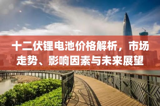 十二伏锂电池价格解析，市场走势、影响因素与未来展望