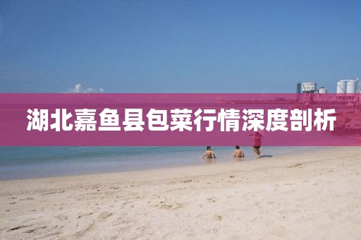 湖北嘉鱼县包菜行情深度剖析