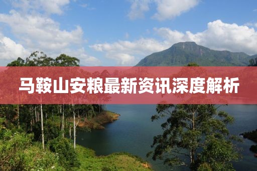 马鞍山安粮最新资讯深度解析