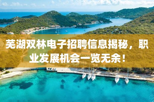 芜湖双林电子招聘信息揭秘,职业发展机会一览无余!