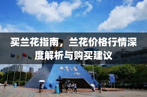 买兰花指南,兰花价格行情深度解析与购买建议