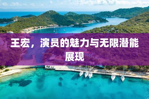 王宏,演员的魅力与无限潜能展现