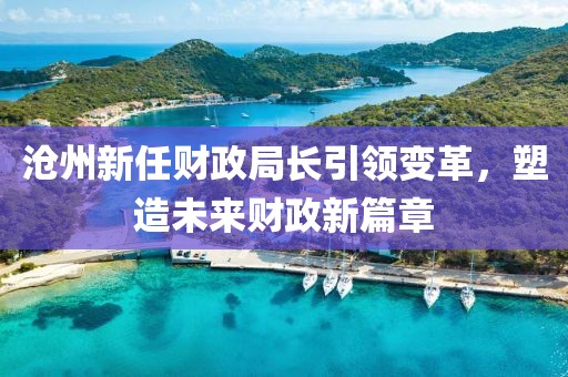 沧州新任财政局长引领变革,塑造未来财政新篇章