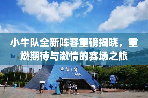 小牛队全新阵容重磅揭晓，重燃期待与激情的赛场之旅