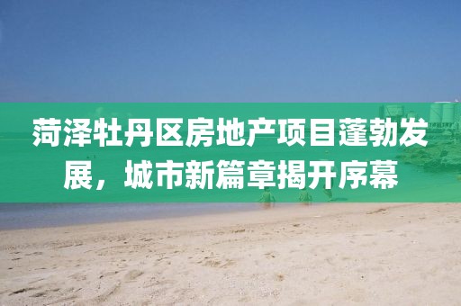 菏泽牡丹区房地产项目蓬勃发展,城市新篇章揭开序幕