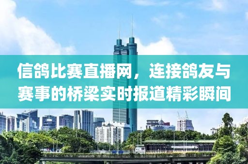 信鸽比赛直播网,连接鸽友与赛事的桥梁实时报道精彩瞬间