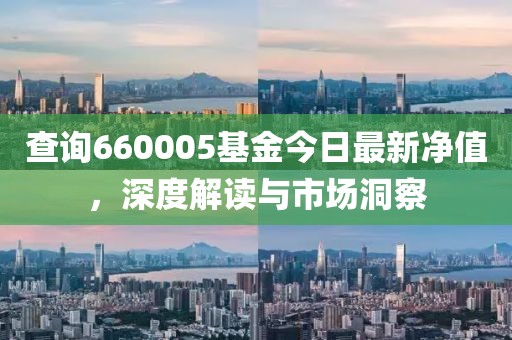 查询660005基金今日最新净值，深度解读与市场洞察