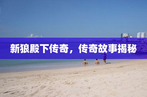 新狼殿下传奇，传奇故事揭秘