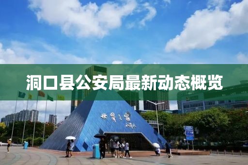 洞口县公安局最新动态概览