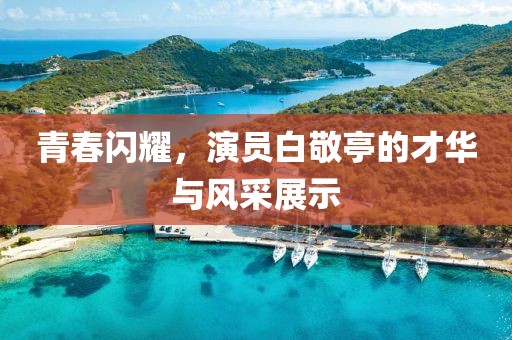 青春闪耀，演员白敬亭的才华与风采展示