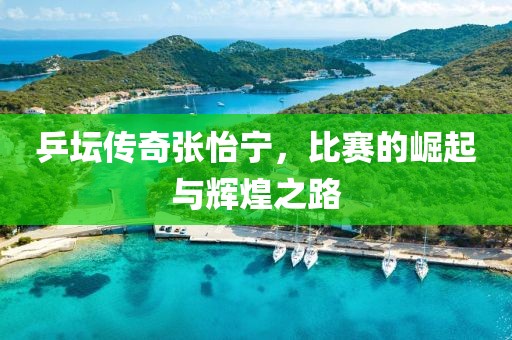 乒坛传奇张怡宁，比赛的崛起与辉煌之路