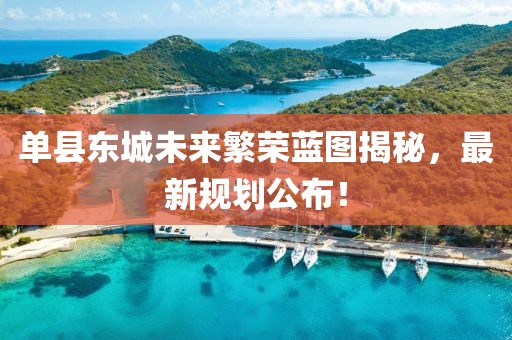 单县东城未来繁荣蓝图揭秘，最新规划公布！