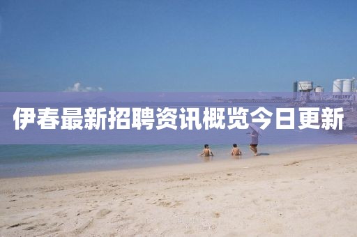 伊春最新招聘资讯概览今日更新