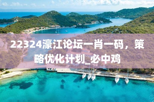22324濠江论坛一肖一码，策略优化计划_必中鸡